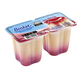 FLAN MORANGO BIOLAT 200G